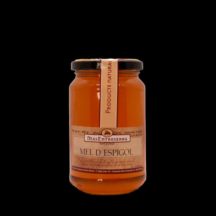 Mel d'Espígol – 500gr