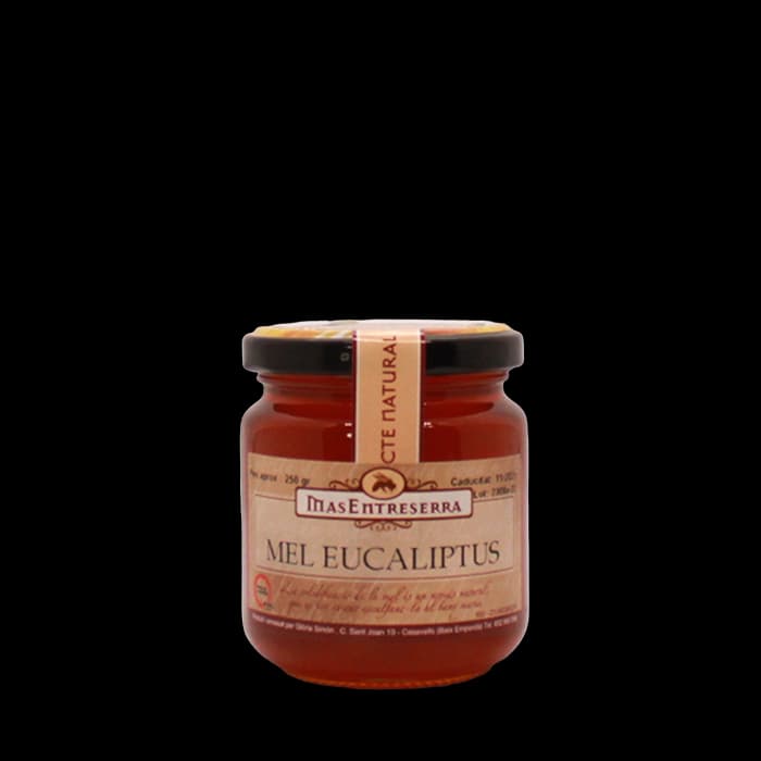 Mel d'Eucaliptus – 250gr